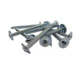 GAP Baypole Screws