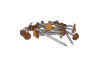 Golden Oak Polytop Pins & Nails